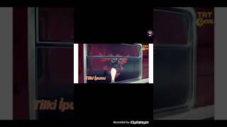 Tilki Ipucu Jeneri 2012