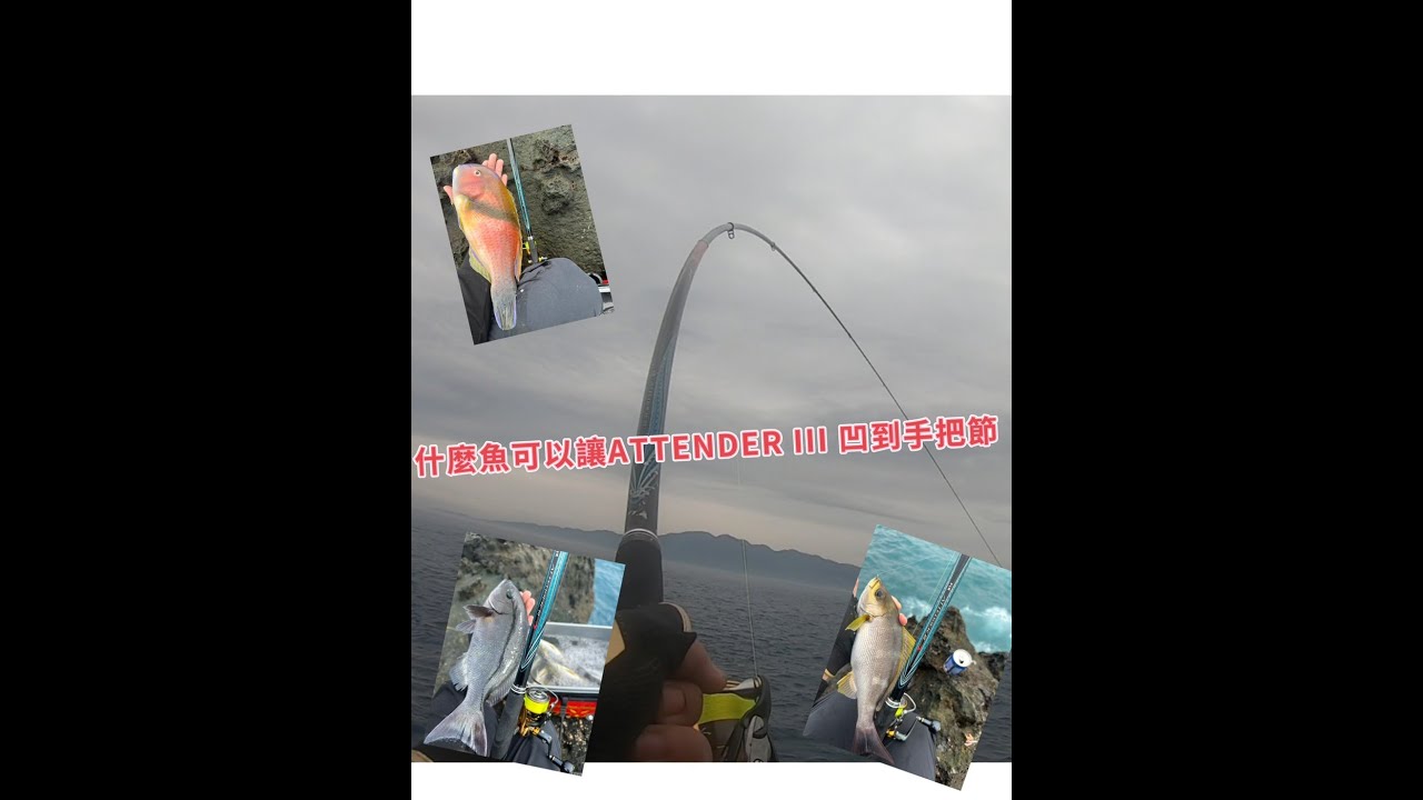 [磯釣]本流上釣魚來吃都是吃到竿尾噴線 真爽 基隆嶼-外斜#fishing #gamakatsu #shimano #daiwa #磯釣り #熱門