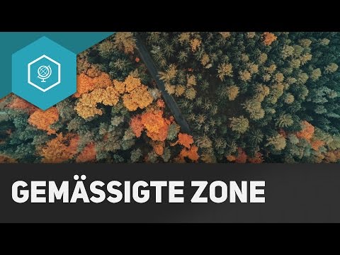 Video: Wie hoch ist der Niederschlag im gemäßigten Laubwald?