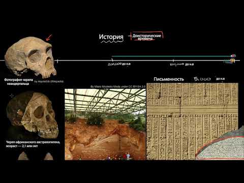 История и доисторические времена (часть 1) | Хронология эволюции человека | Всемирная История