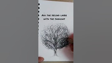 How to draw a realistic tree with pen and ink | Tutorial #shorts #penandinkdrawing