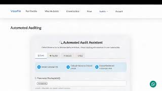 Demo video of the Automated Auditing agent with VizorFin
