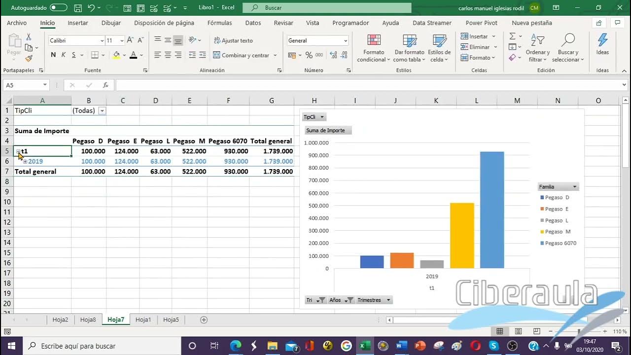 Curso online de Microsoft Excel Avanzado Lección IV Gráficos