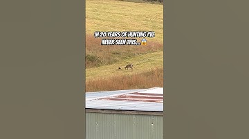 Never seen this! #hunting #deer #fypシ #fypシ゚viral #outdoors #fall #god