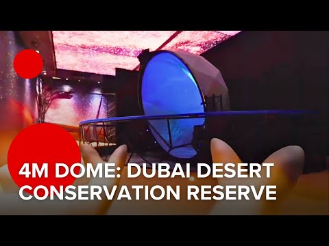 Using a dome to showcase the biodiversity of Dubai Desert Conservation Reserve