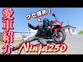 Ninja250愛車紹介【モトブログ】