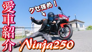 Ninja250愛車紹介【モトブログ】