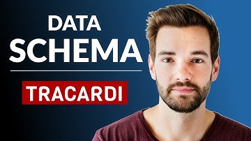 Tracardi Data schema version 0.8.1