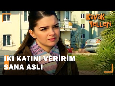 Can, Aslı'yı Zor Durumda Bıraktı!  - Kavak Yelleri 33.Bölüm