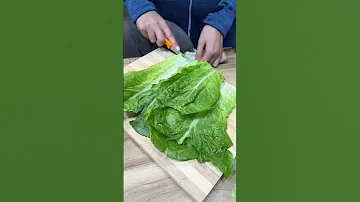 با این ساندویچ لاغر میشی ساندویچ کتوژنیک 