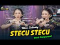 Niken Salindry STECU STECU Kembar Campursari Official Music Video