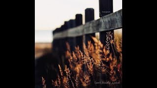 Nee Kaatru Naan Maram  Nilaave Vaa 1998