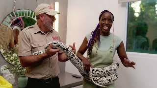 Shit Talk With Janeshia Adams-Ginyard - Snake BTS with Jay Brewer