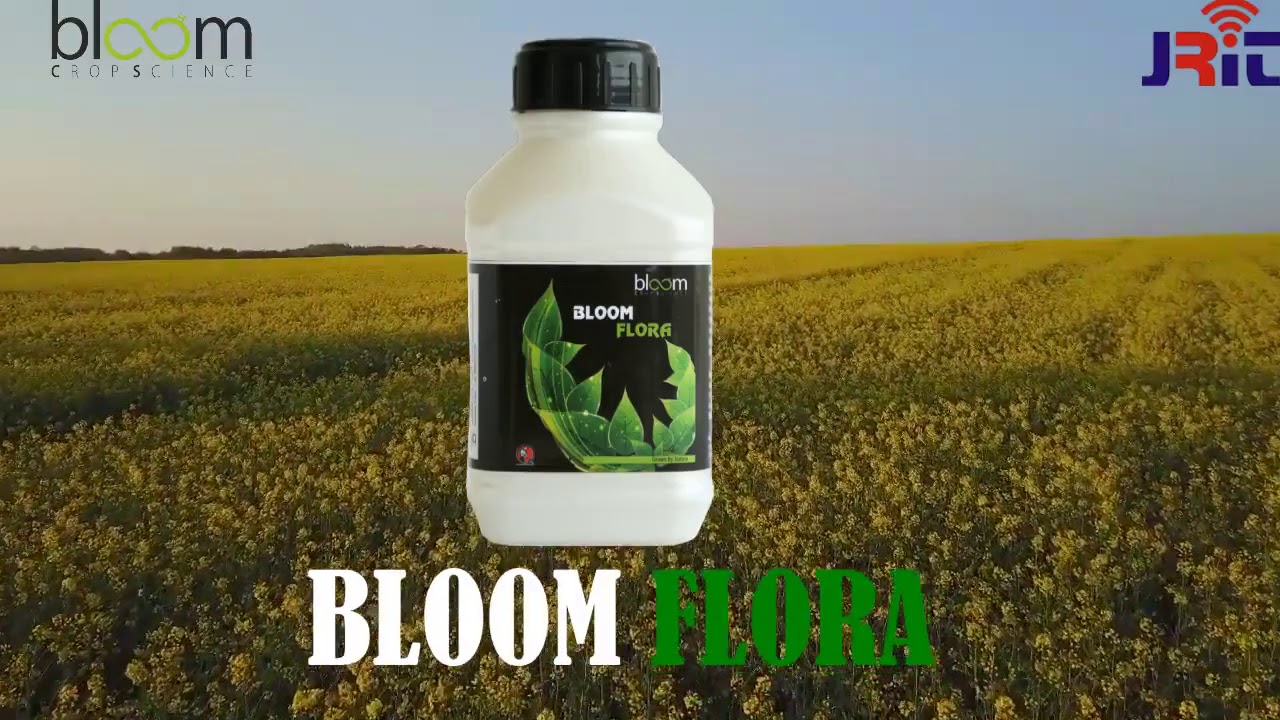 Bloom flora YouTube