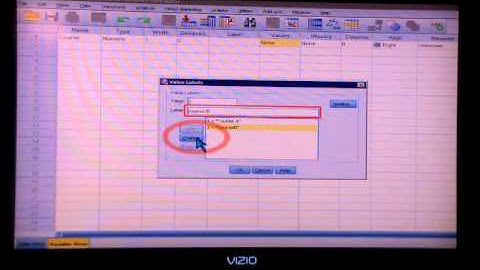 SPSS 23: Video 1