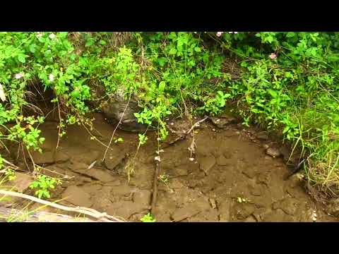 3 Video Ground ER13 Creek crossing property DONE