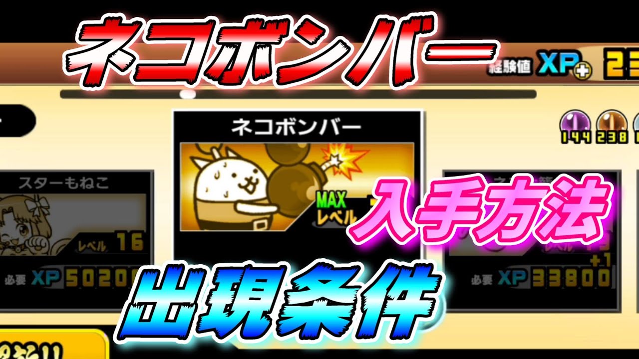 開眼 の ネコ フラワー 襲来