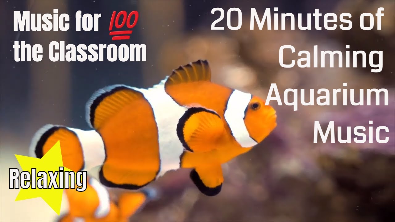 BEST AQUARIUM MUSIC Classroom Music YouTube