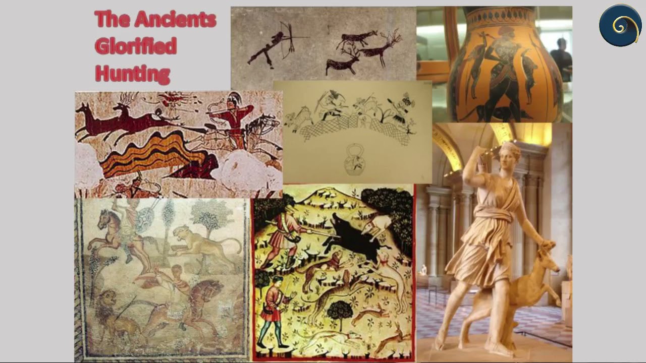 SUCo SA - This is our Heritage - Stephen Palos