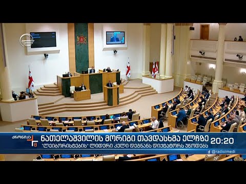 ნათელაშვილი აშშ ის ელჩის წინააღმდეგ