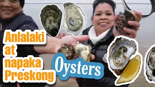 Namulot kami ng napakaraming Oysters sa tabing dagat ng Marbæk 😍