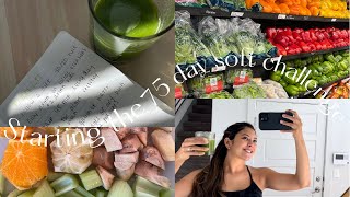 VLOG | DAILY ROUTINE | gym | Starting the 75 Day soft challenge | starting youtube | green juice screenshot 1