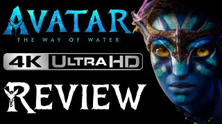 Avatar: The Way of Water 4K UHD Digital Review image