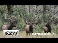 GIANT BULL ELK FIGHT!! Bugle at 25 yds | HUNTING PUBLIC LAND DIY