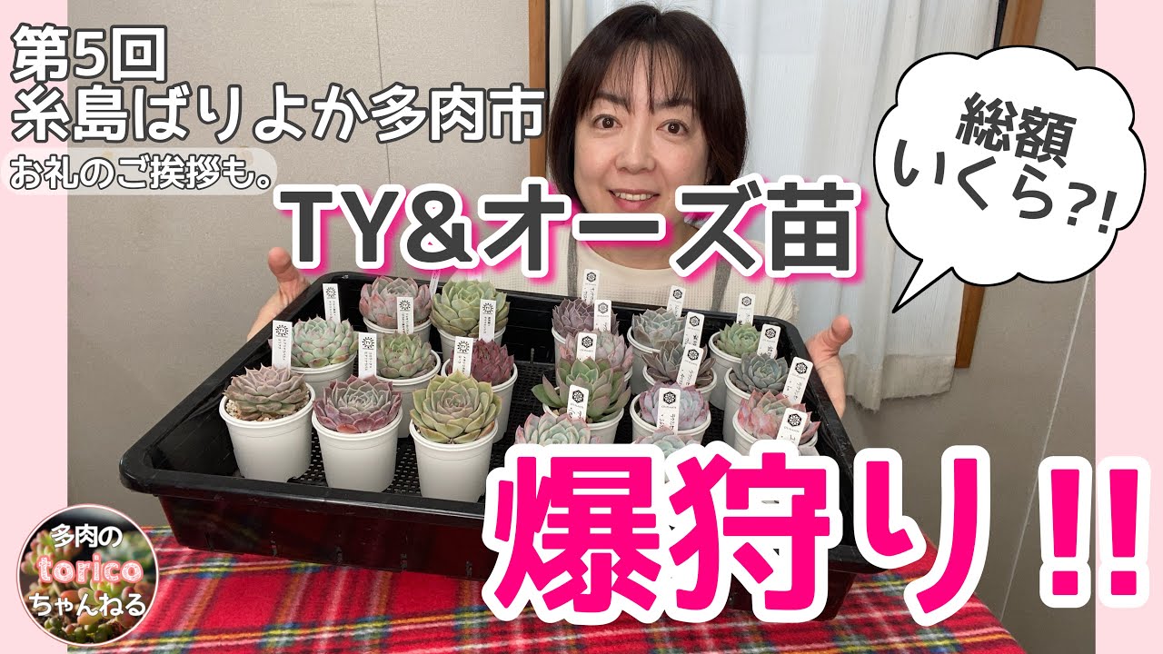 第5回 糸島ばりよか多肉市】TY苗＆オーズ苗爆狩り‼️ - YouTube