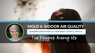Mold & Indoor Air Quality: The Fungus Among Us