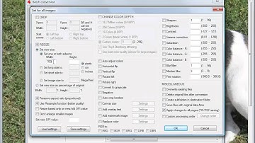 IRFANVIEW - free program to batch process and resize images or pictures