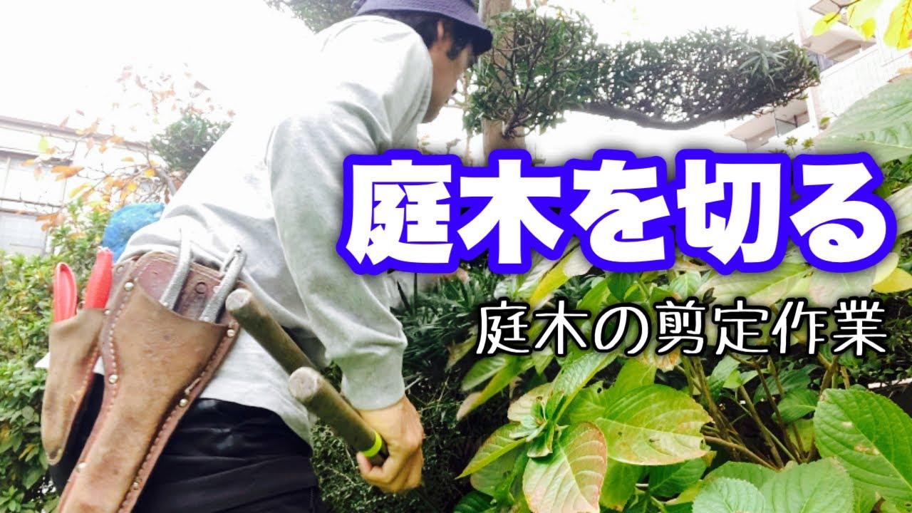 植木屋さんいませんか？ maxresdefault.jpg