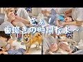 歯磨きしようとすると荒ぶる柴犬、そして暴れる娘