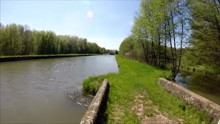 Conseils pour la pêche de la perche en canal