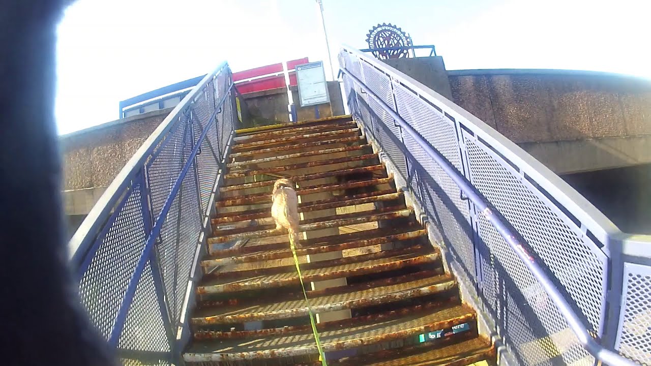 Locomotion Steam Train Shed. Rose Grove. Burnley. Searching for the remains of the sheds. FAILED