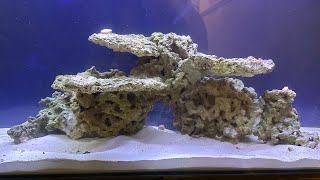 Setting up my 4ft saltwater tank part 3