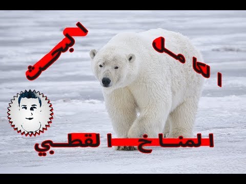 البحث الكامل ! المناخ القطبي