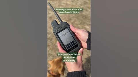 Start a new hunt with your Garmin Alpha. #garmin #birddog #birdhunting #huntingdog #pheasant #hunt