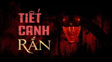 TIẾT CANH RẮN - Báo Ứng Ba Đời Của Dòng Họ Sát Sinh
