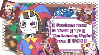 || Fandoms react to TADC || 1/? || The Amazing Digital Circus || TADC ||