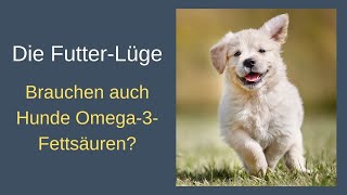 Die Futter-Lüge - Brauchen auch Hunde Omega-3-Fettsäuren?