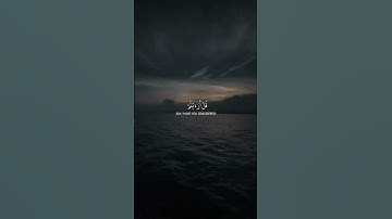 Surah Surah Al-Qasas 71-72 سورة القصص @NoCreditQuranOverlay #qurancadence