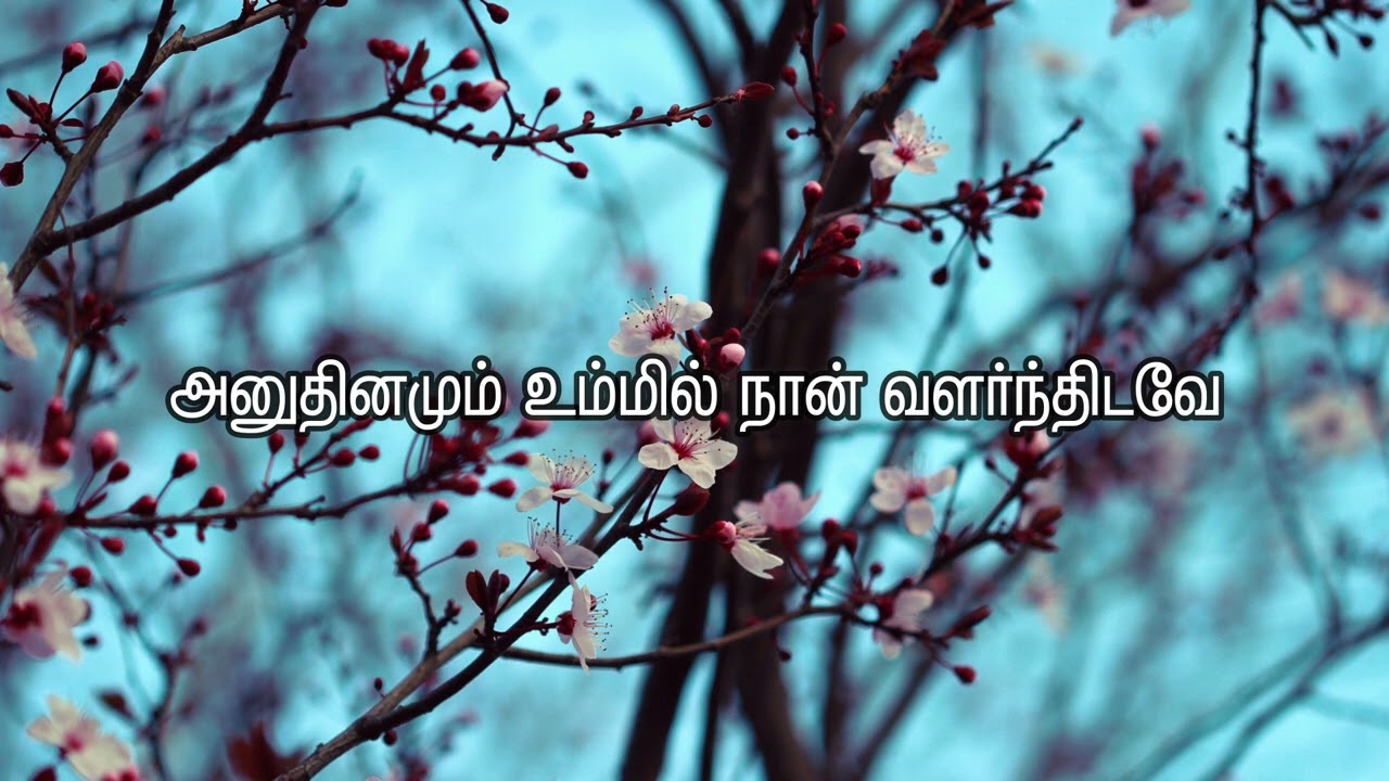      Anuthinamum Ummil Naan  Song Lyrics Video  JESUS INFO  Description