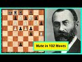 Mate In 102 Moves!
