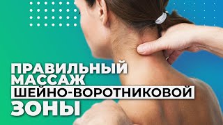 Шейно Воротниковая Зона Фото Схема Шейно Воротниковая Зона Фото Схема