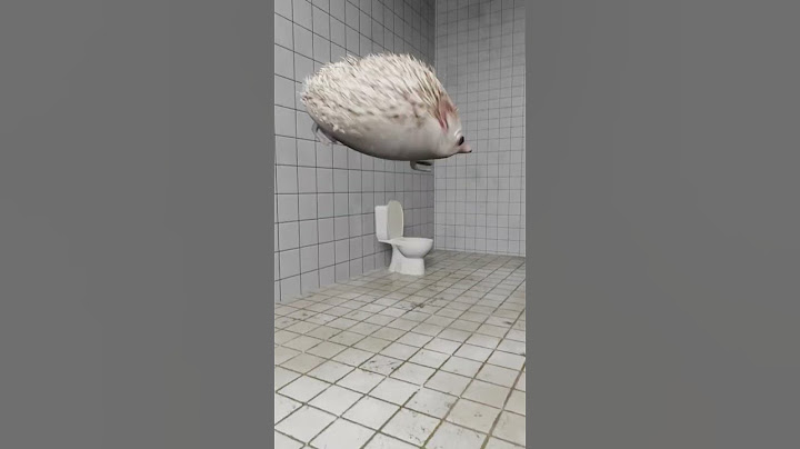 ПОБЕГ ИЗ ТЮРЬМЫ