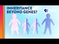 The Complex Nature Of Inheritance And The Role Of Epigenetics