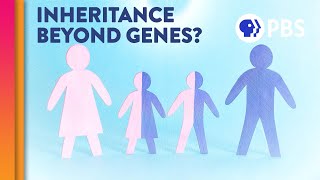 Is Inheritance Really All In Our Genes?