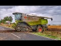 2x Claas Lexion 600 Terra Trac// Schlammschlacht bei der Mais Ernte