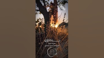 القران الكريم - سورة مريم بصوت القارئ الشيخ محمد صديق المنشاوي #اكسبلور #explore #explorepage